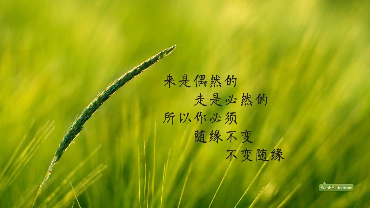 hero-image